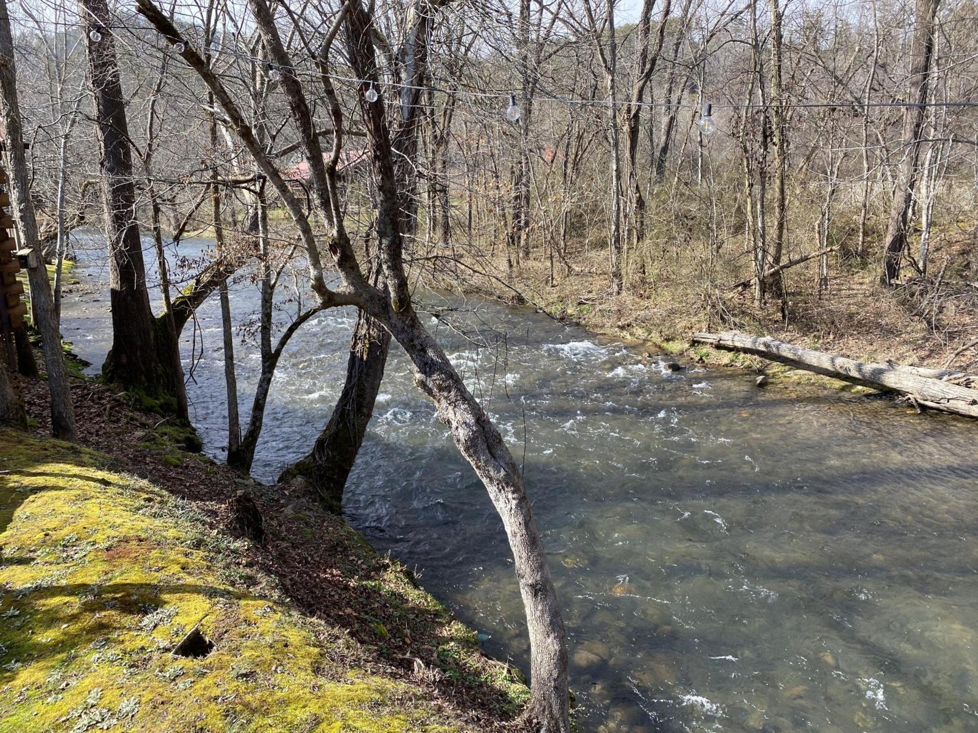 Gray'S Place On Cosby Creek - 2 Bedrooms, 2 Baths, Sleeps 6 Home 외부 사진