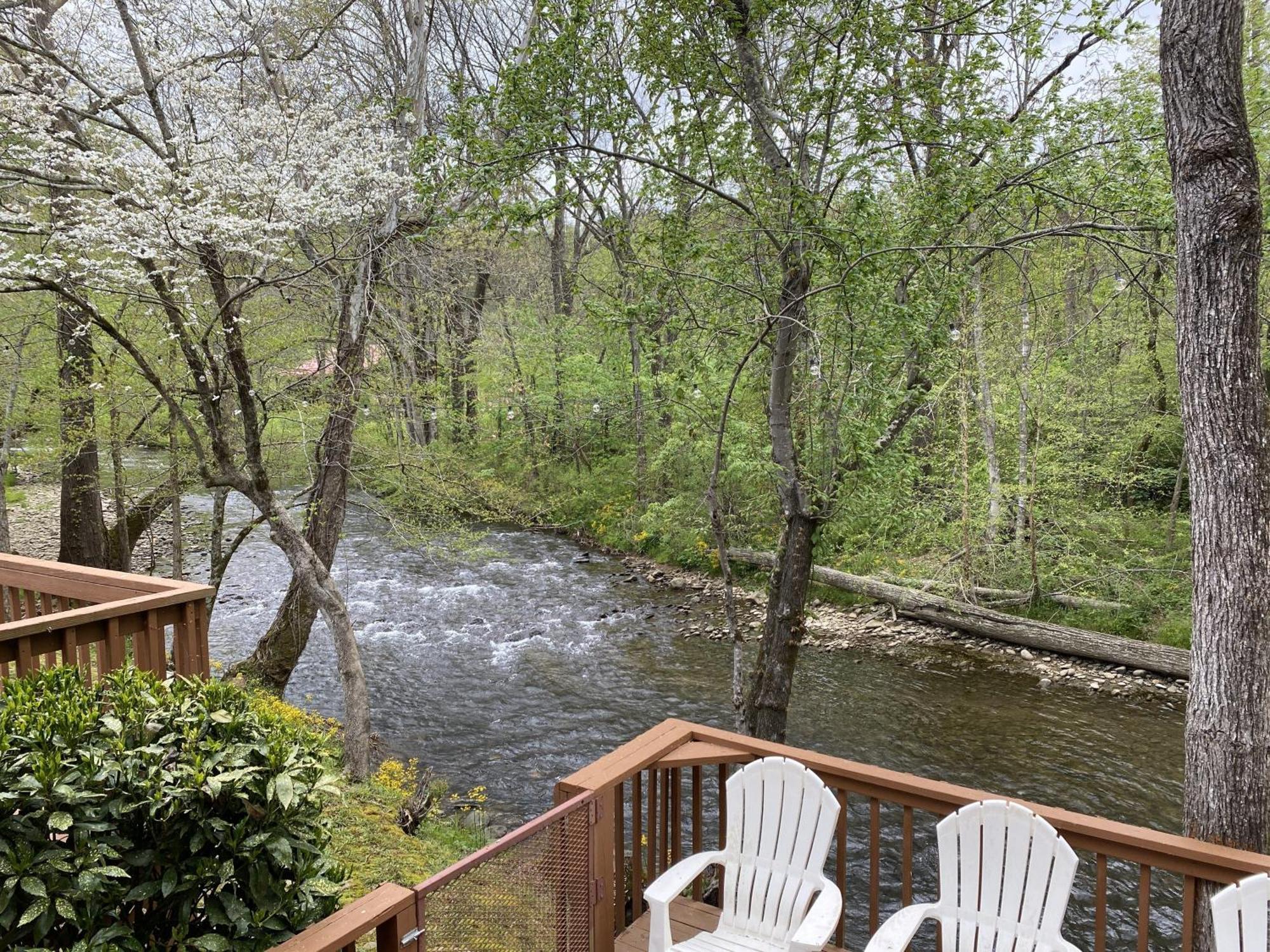 Gray'S Place On Cosby Creek - 2 Bedrooms, 2 Baths, Sleeps 6 Home 외부 사진